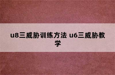 u8三威胁训练方法 u6三威胁教学